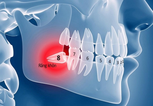 Cẩm nang về răng 8